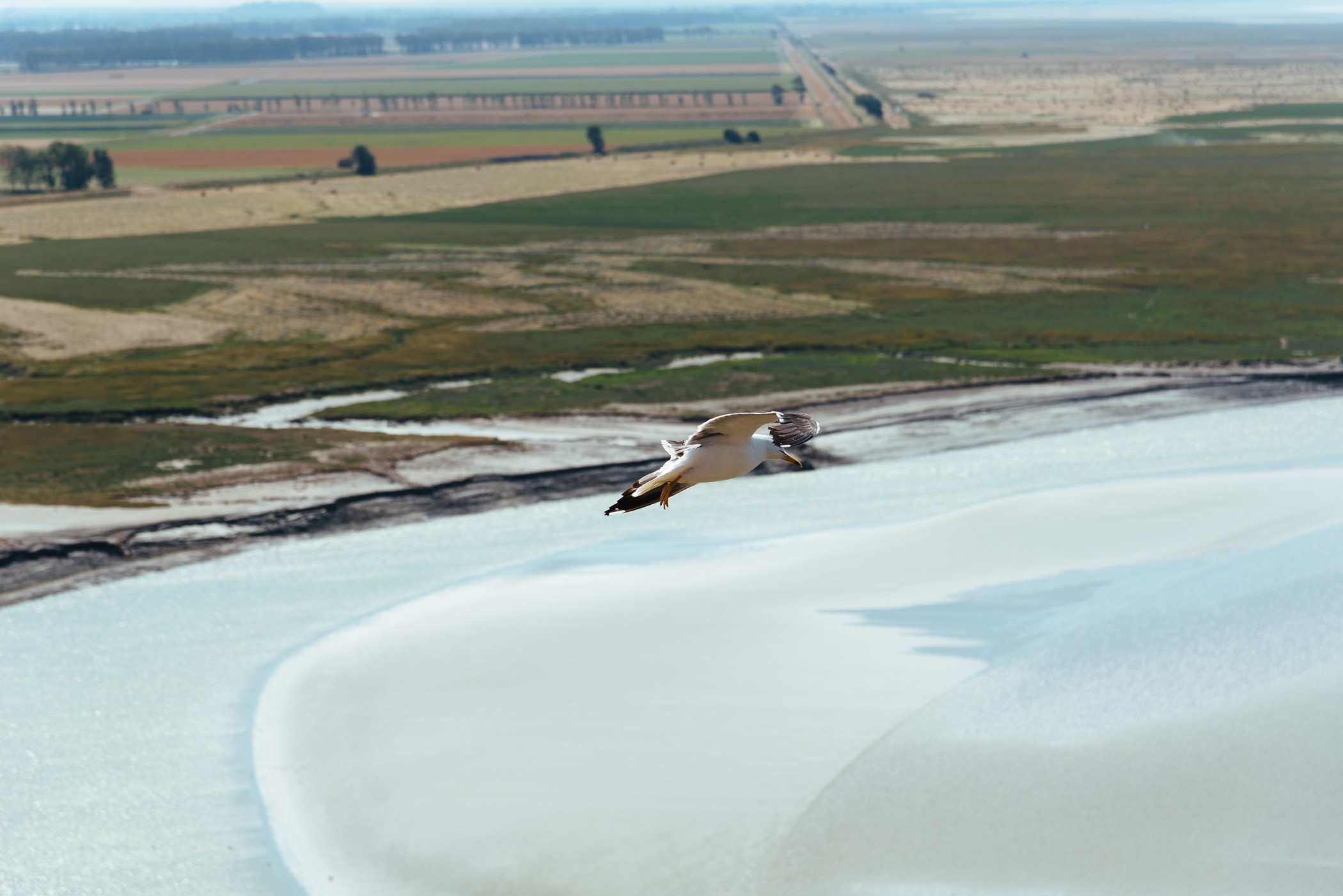 Découvrir les trésors de la Manche