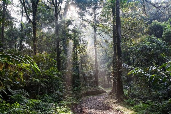 Tout sur le center Parcs des Hauts de Bruyères en Sologne